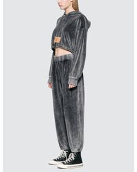 Alexander Wang Gray Velour Terry Cropped Hoodie