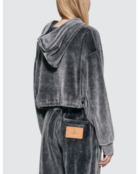 Alexander Wang Gray Velour Terry Cropped Hoodie