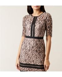 hobbs pink penny dress