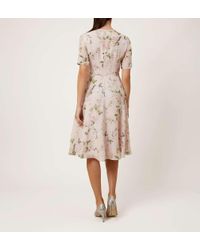 hobbs riley dress