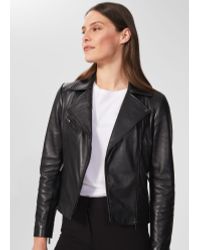 hobbs thea leather jacket