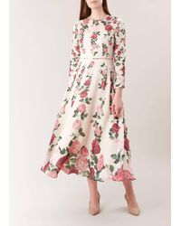 hobbs victoria rose dress