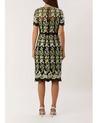 hobbs rhona dress