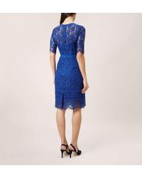 hobbs penny dress