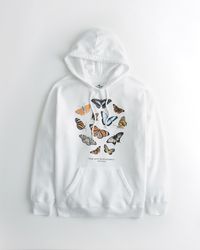 Hollister butterfly sweatshirt sale