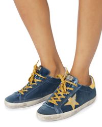 superstar bleu gold