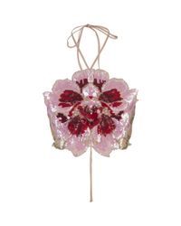 Amen Red Orchid Top