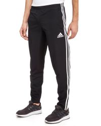 Adidas Dragon castagno Adidas Dragon castagno
