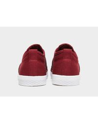 adidas honey lo burgundy