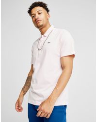 new lacoste