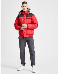 north face gotham 3 red