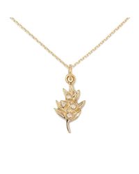 Delicacies Jewelry - Metallic 14kt Gold Olive Necklace - Lyst