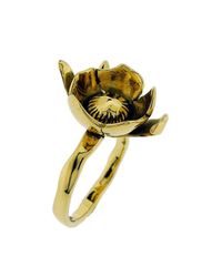 Rachel Helen Designs 18kt Yellow Gold Peony Bud Ring - Paeonia Officinalis