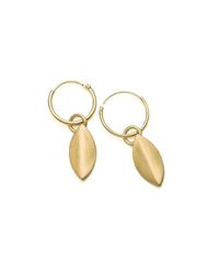 Naomi Tracz Jewellery - Metallic 18kt Gold Petal Earrings On Sleepers - Lyst