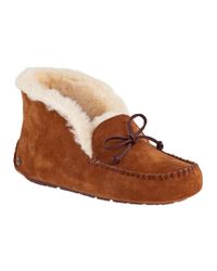 ugg alena chestnut