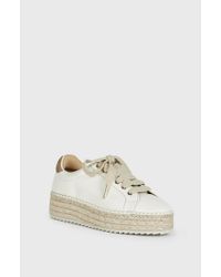 joie dabna sneaker