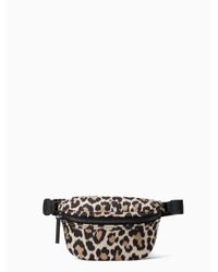 Kate Spade Black That's The Spirit Leopard-print Belt Bag