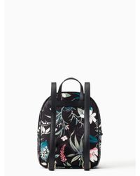 wilson road botanical small bradley