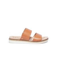 asha sam edelman