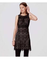 loft black lace dress