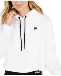 fila teddy