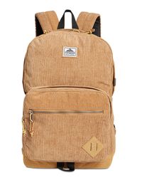 steve madden mens backpack