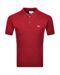 lacoste t shirt price