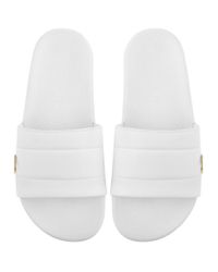 lacoste gold croc sliders