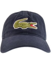 lacoste hat price