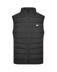 lacoste body warmer