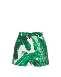 Gabbana Banana Leaf-print Cotton 