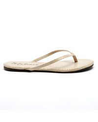Matisse Multicolor Malibu