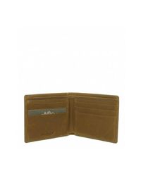 portafoglio timberland