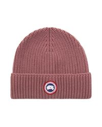 canada goose gorro rojo