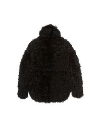liang lorne shearling