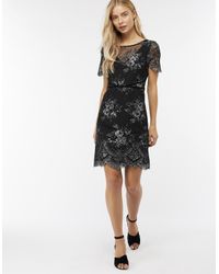 maisie metallic lace shift dress