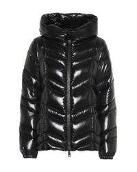 fuligule moncler