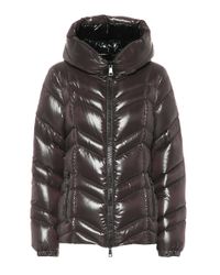 fuligule moncler