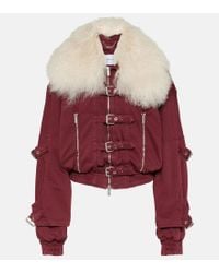Blumarine Oversized-Collar Zip-Up Cropped Denim Jacket in