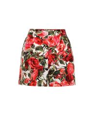 Dolce & Gabbana Red Cotton Shorts