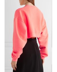 Alexander Wang Multicolor Woman Cropped Intarsia Knit-paneled French Cotton-terry Sweatshirt Bubblegum