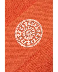 nagnata orange shorts