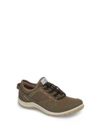 ecco aspina toggle hiking sneaker