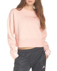 Adidas Pink Coeeze Crop Sweatshirt