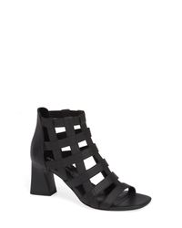 Donald pliner visto Clearance