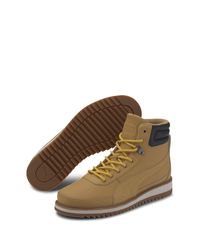 desierto v2 puma