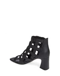 Donald pliner visto Clearance