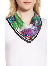 Echo scarves nordstrom Clearance