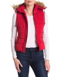 love tree pink jacket