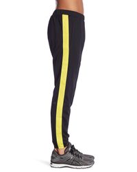 Asics dojo track pants Clearance